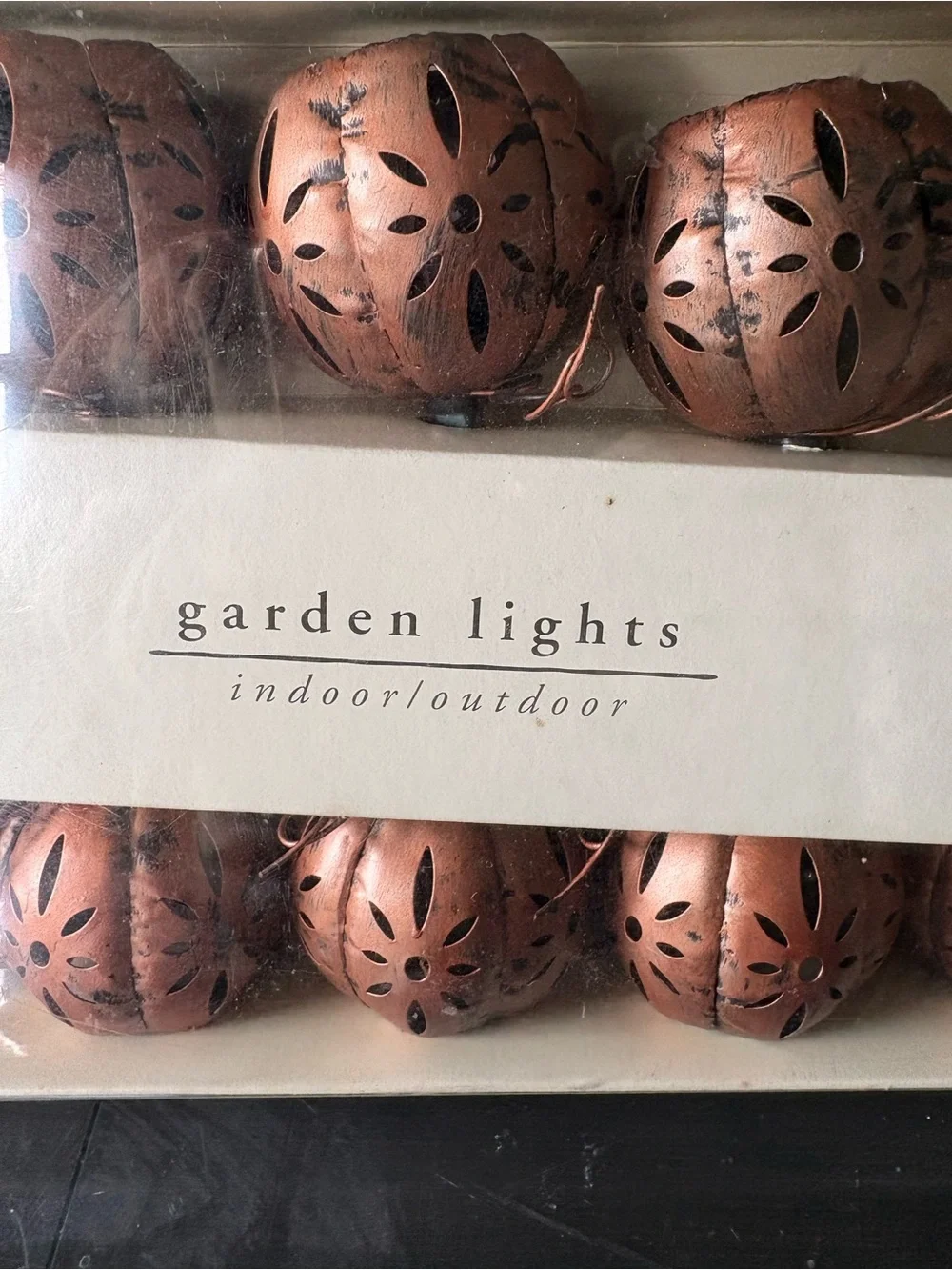 Pier 1 Copper Garden Lantern String Lights